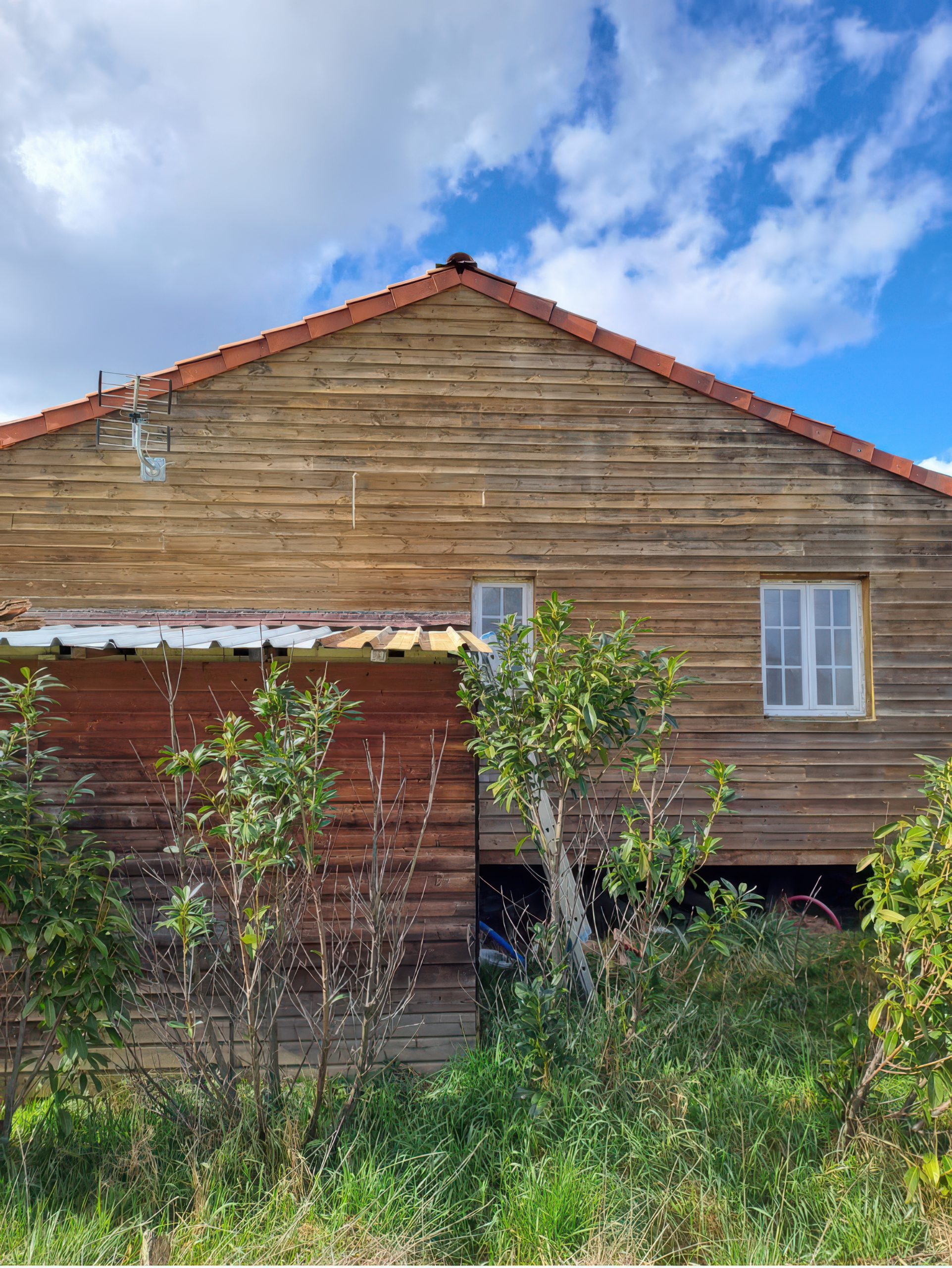 nettoyage façade bois apres(photo 5)-scaled